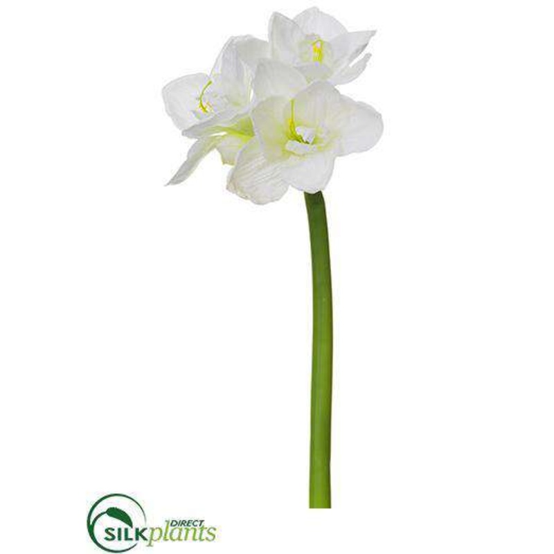Amaryllis Spray – Cream – Pack of 12