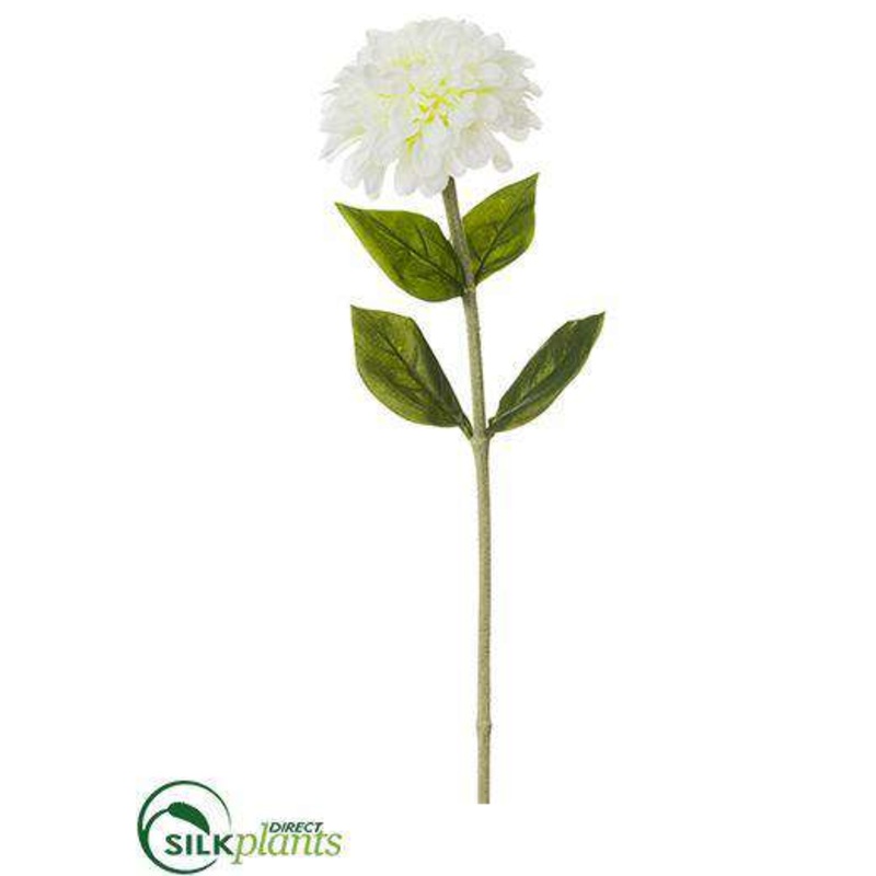 Zinnia Spray – Cream – Pack of 12