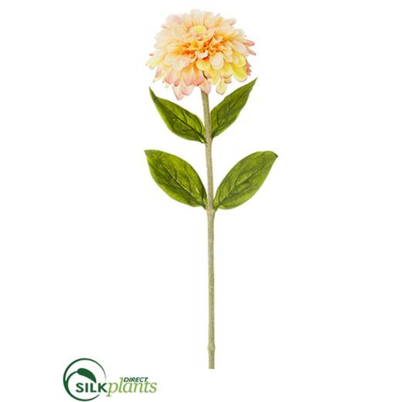 Zinnia Spray – Peach – Pack of 12