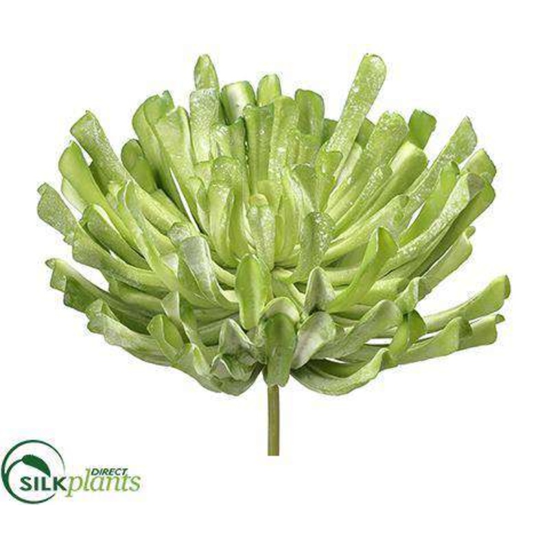 Aeonium Pick – Green Flocked – Pack of 2