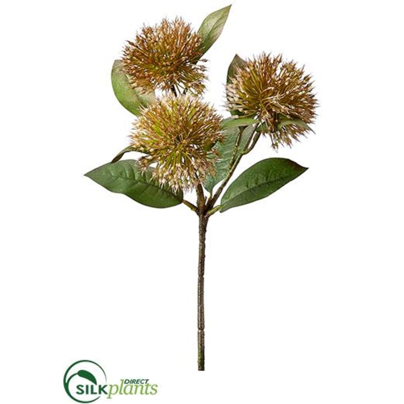 Allium Bud Spray – Brown – Pack of 12
