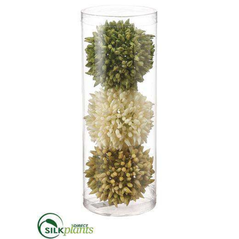 Allium Orb – Green White – Pack of 6