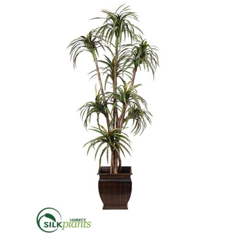 Yucca Tree – Green – Pack of 1
