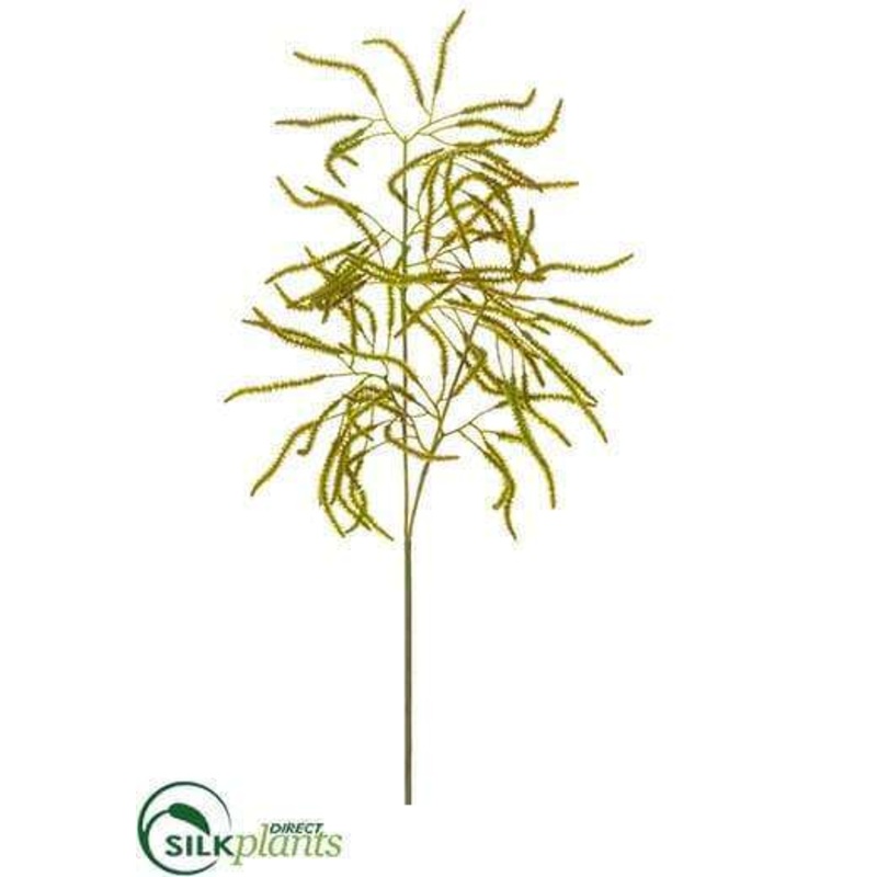Amaranthus Hanging Spray – Green Brown – Pack of 12