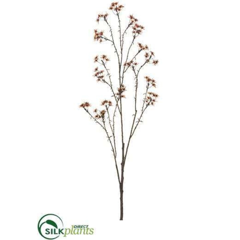 Witch Hazel Spray – Bronze – Pack of 6