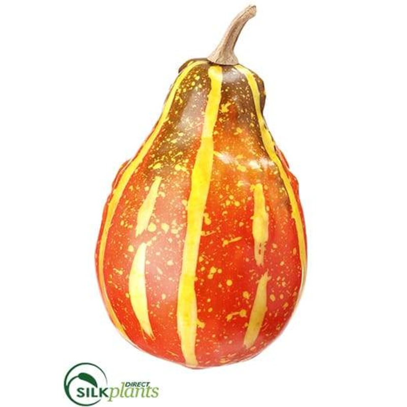 Acorn Gourd – Orange Two Tone – Pack of 12