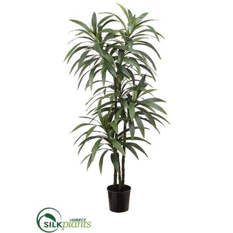 Yucca – Green – Pack of 2