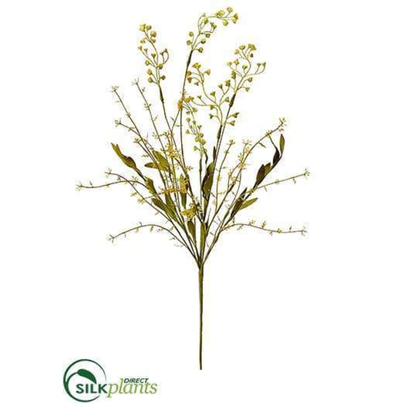 – Mustard Green – Pack of 1