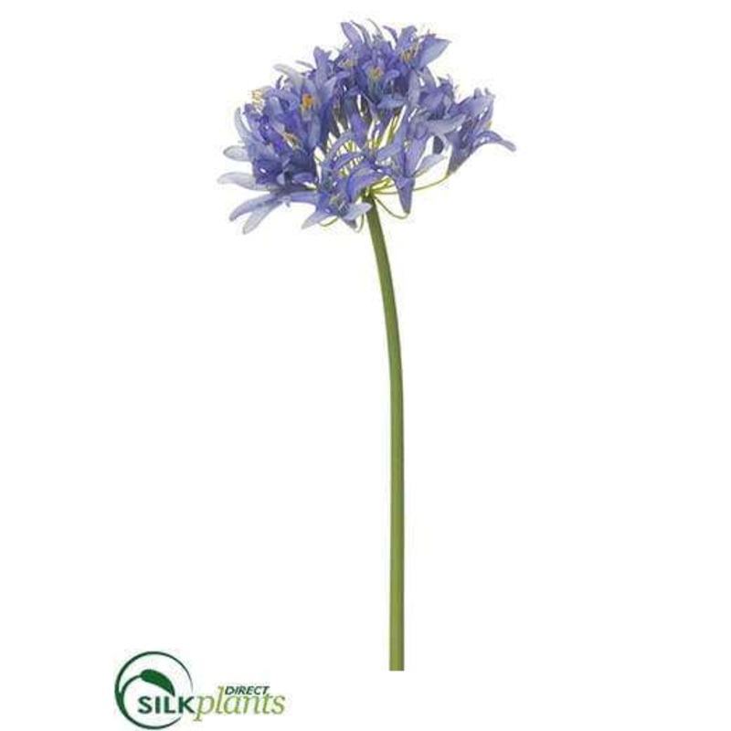 Agapanthus Spray – Purple – Pack of 12