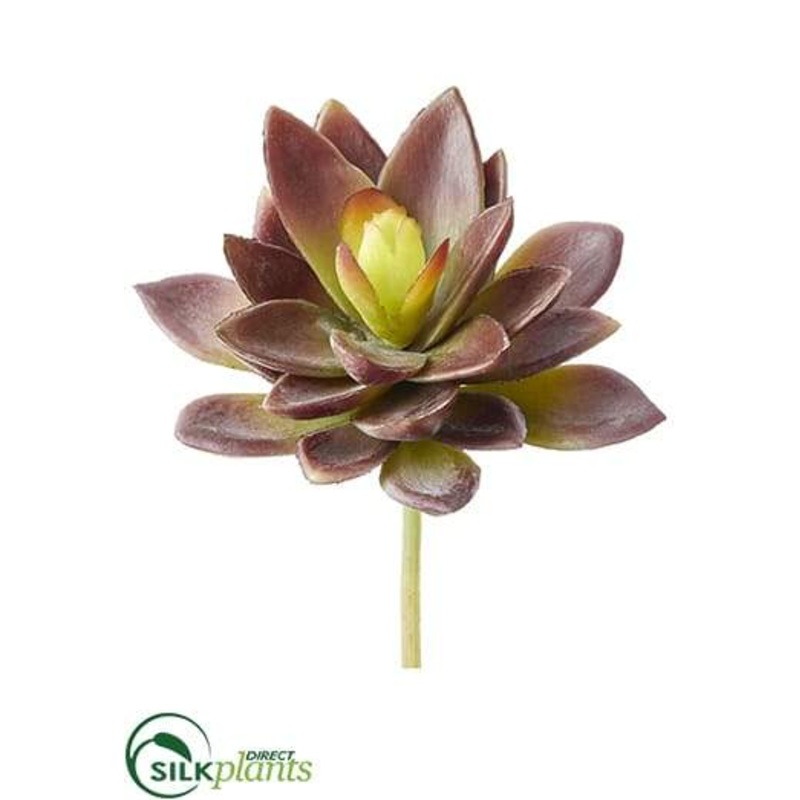 Agave Pick – Burgundy Green – Pack of 12
