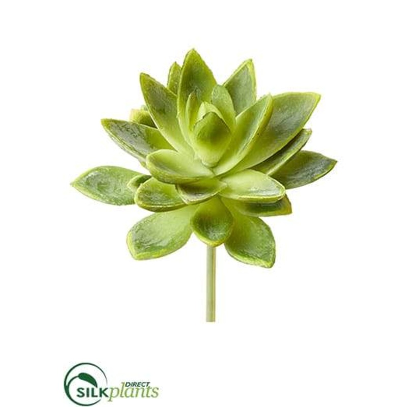 Agave Pick – Green Two Tone – Pack of 12