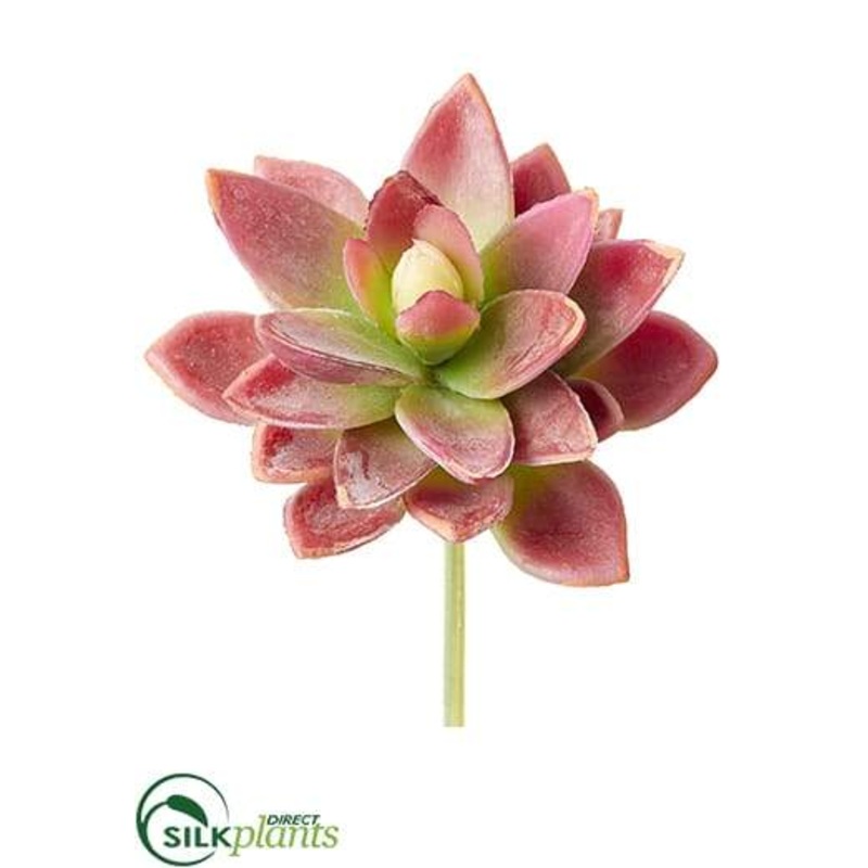 Agave Pick – Red Green – Pack of 12