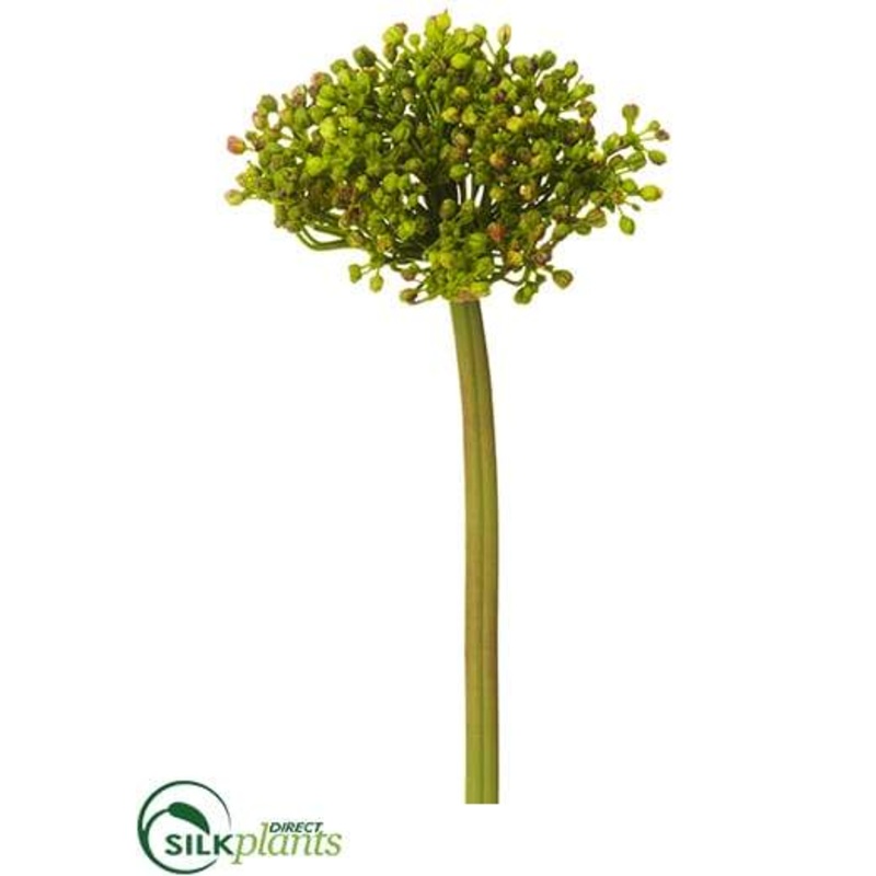 Allium Bud Spray – Green Two Tone – Pack of 12