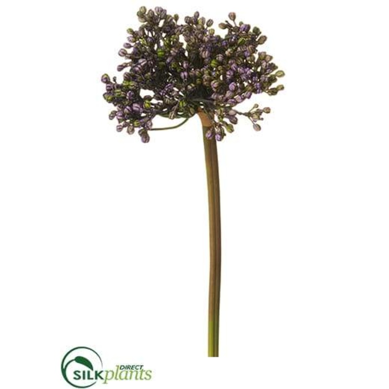 Allium Bud Spray – Lavender Green – Pack of 12