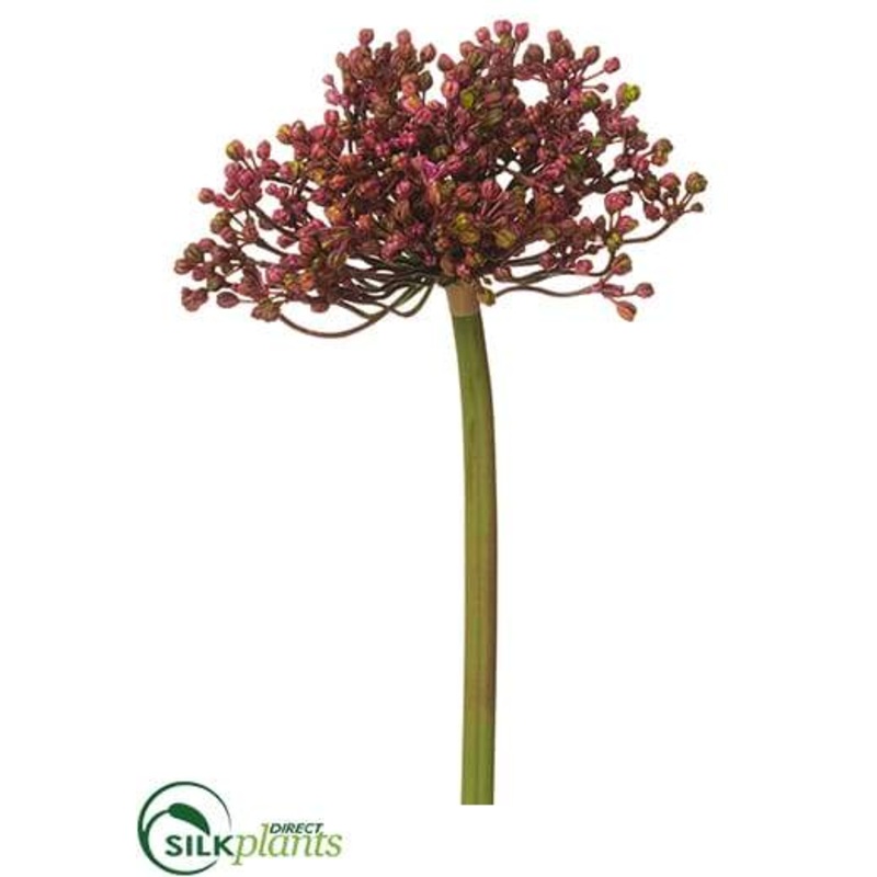 Allium Bud Spray – Mauve Green – Pack of 12