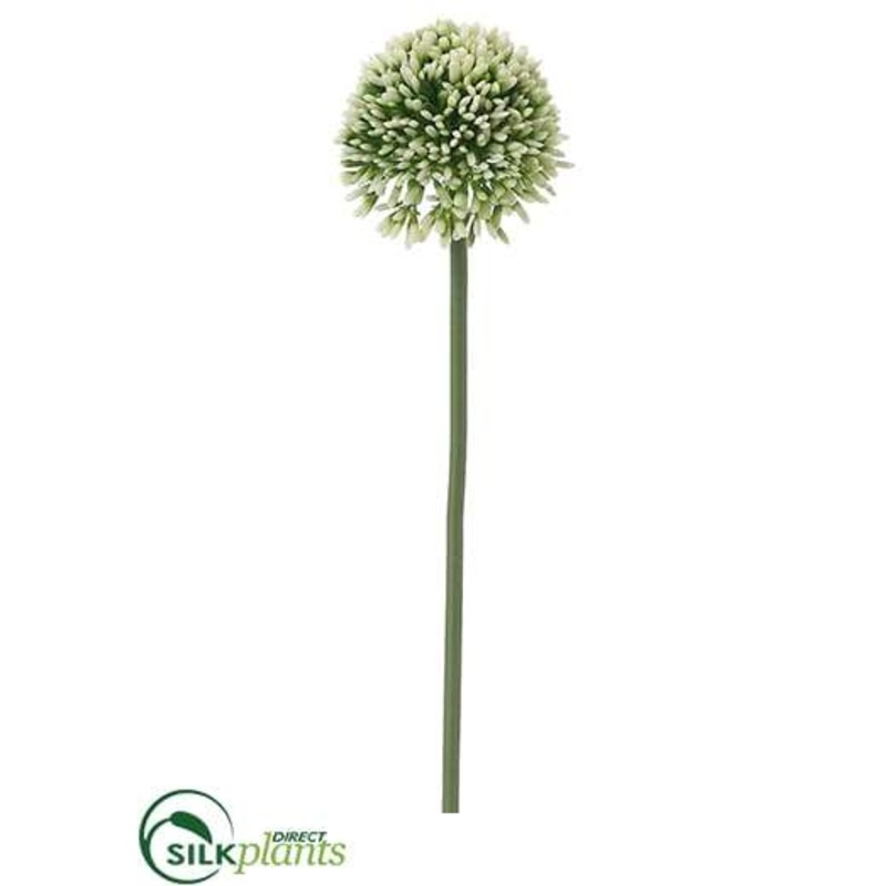 Allium Spray – Purple Green – Pack of 24