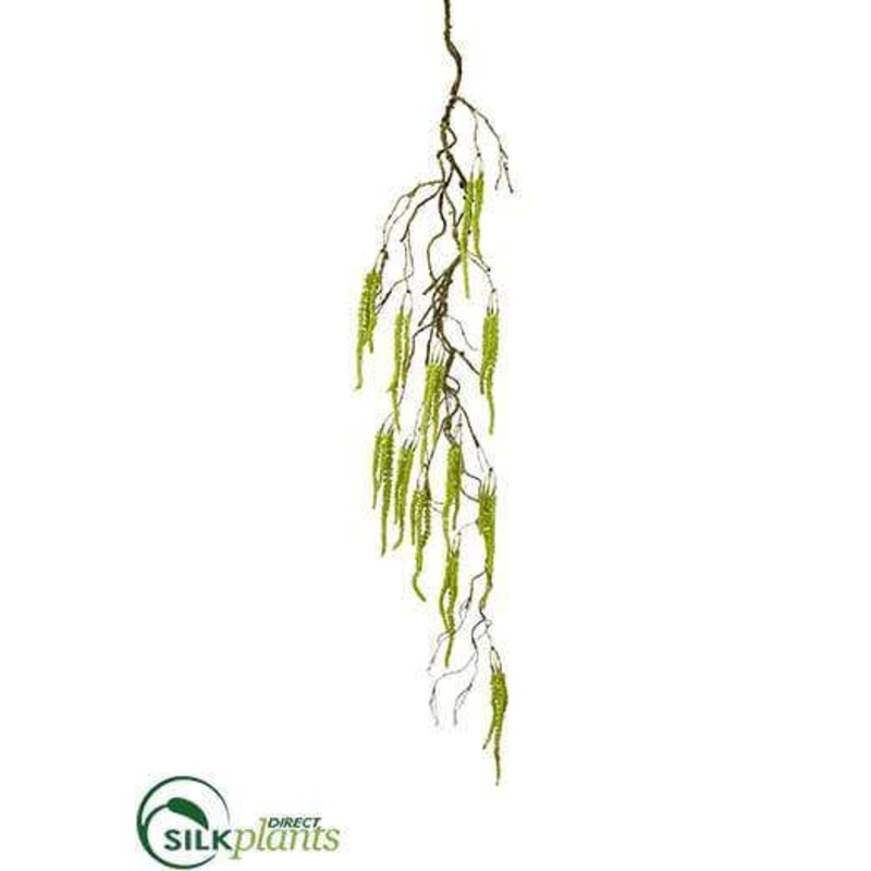 Amaranthus Hanging Spray – Green Lime – Pack of 12