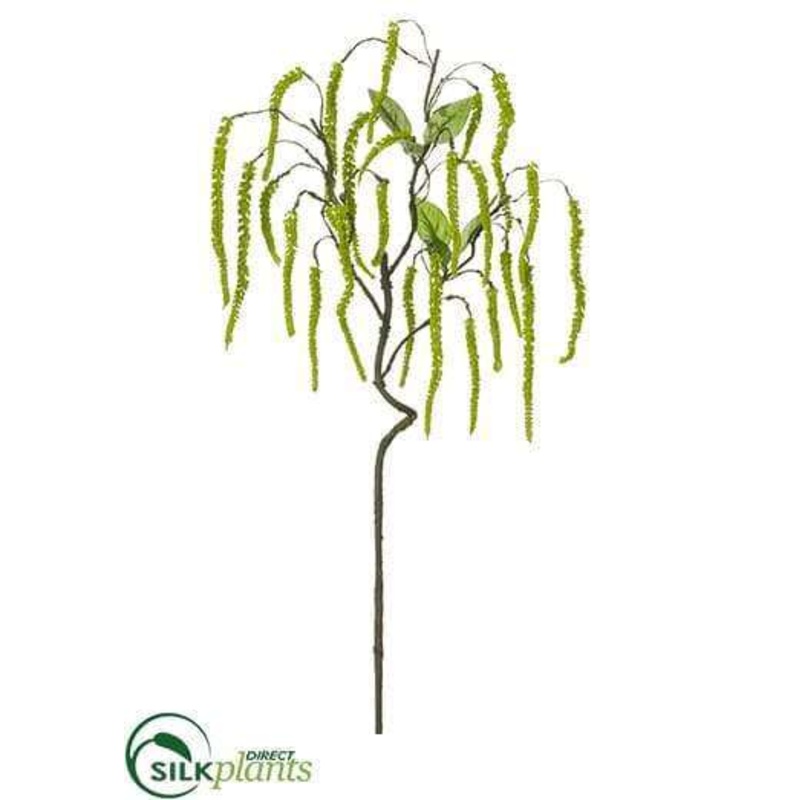 Amaranthus Hanging Spray – Green – Pack of 12