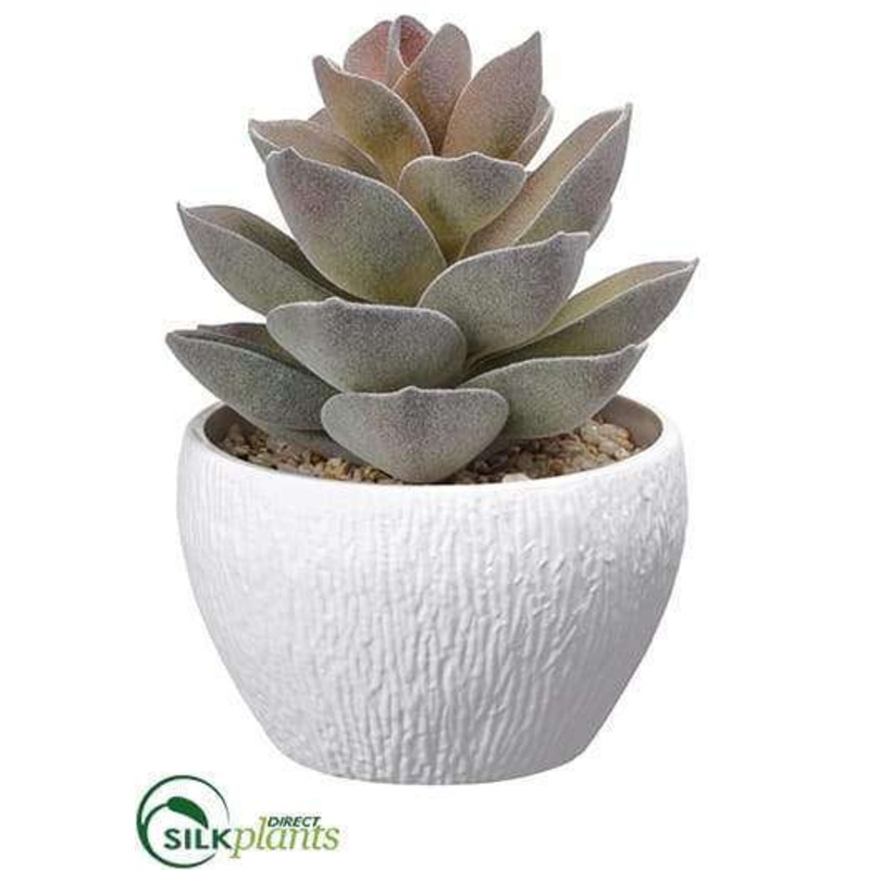 Agave – Green Gray – Pack of 4