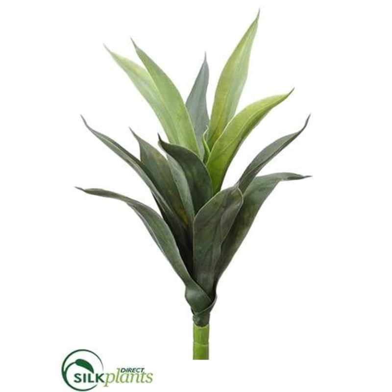 Aloe Branch – Green Frosted – Pack of 12