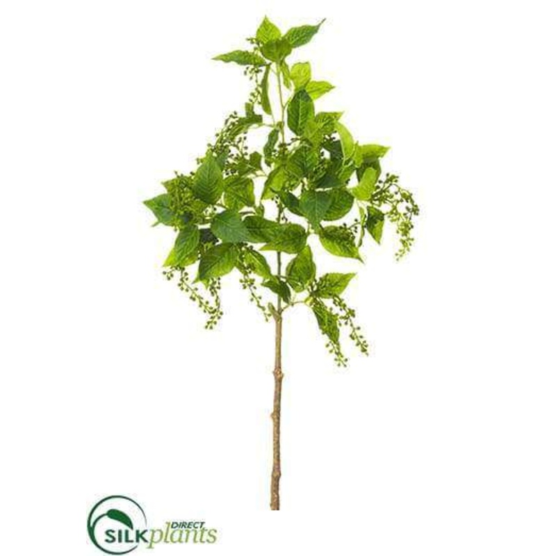 Amaranthus Bud Spray – Green – Pack of 12