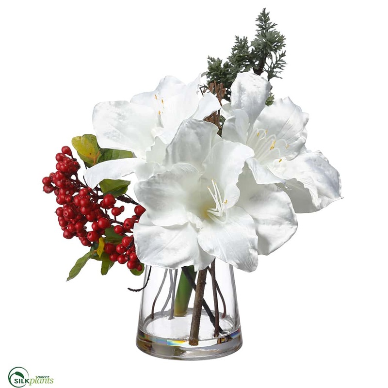 Amaryllis, Berry, Pine – White Red – Pack of 4