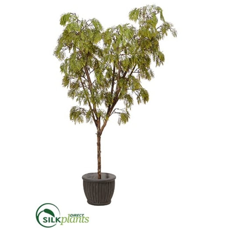 Acacia Tree – Green – Pack of 1