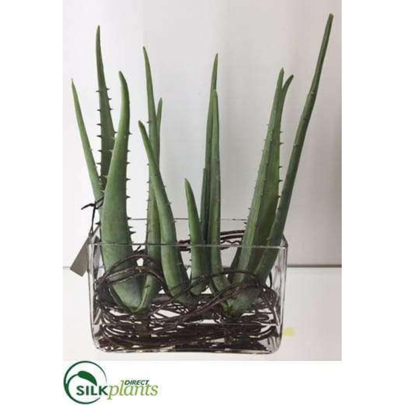 Agave Twig – Green – Pack of 1