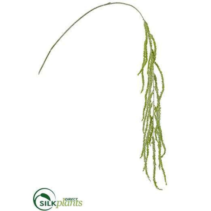 Amaranthus Hanging Spray – Lime – Pack of 12