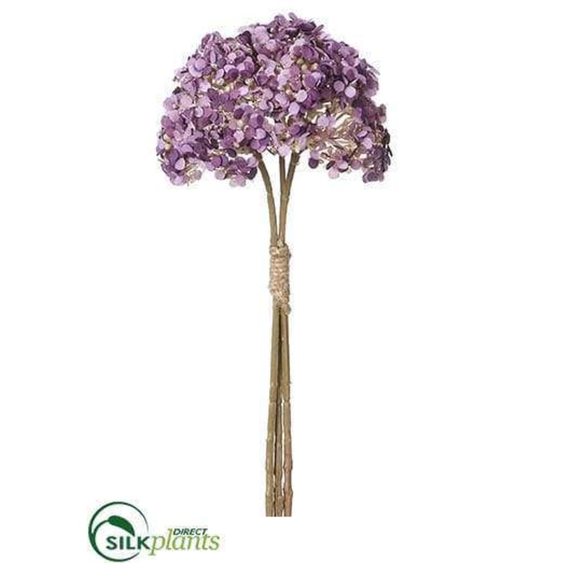Achillea Bundle – Purple – Pack of 24