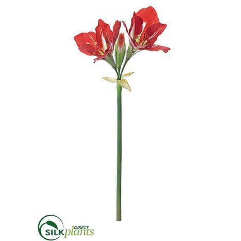 Amaryllis Spray – Red White – Pack of 6