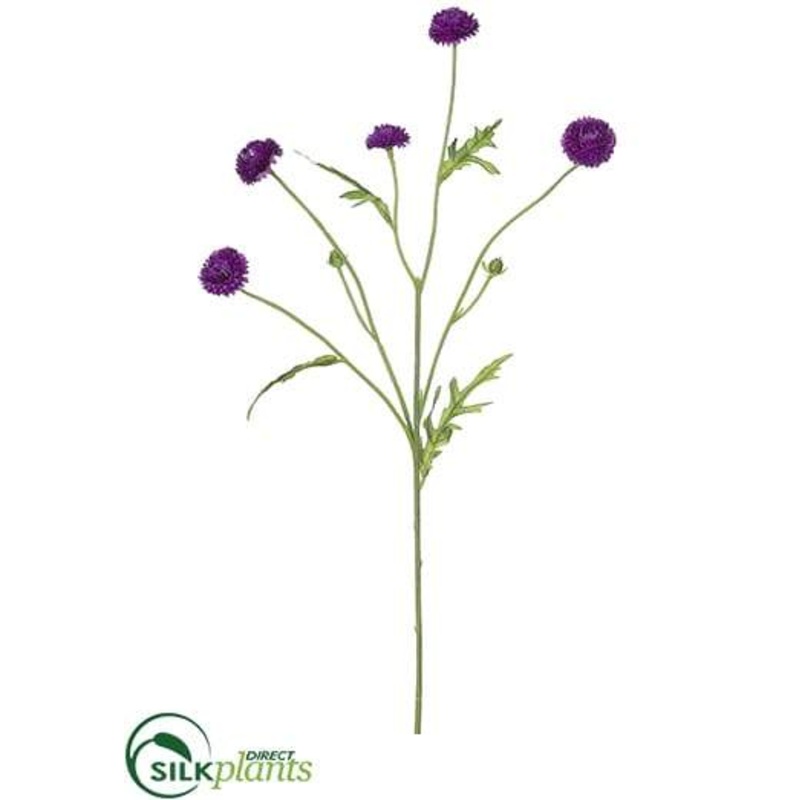 Wild Pompom Spray – Violet – Pack of 24