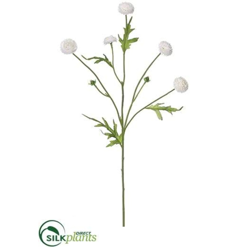 Wild Pompom Spray – White – Pack of 24