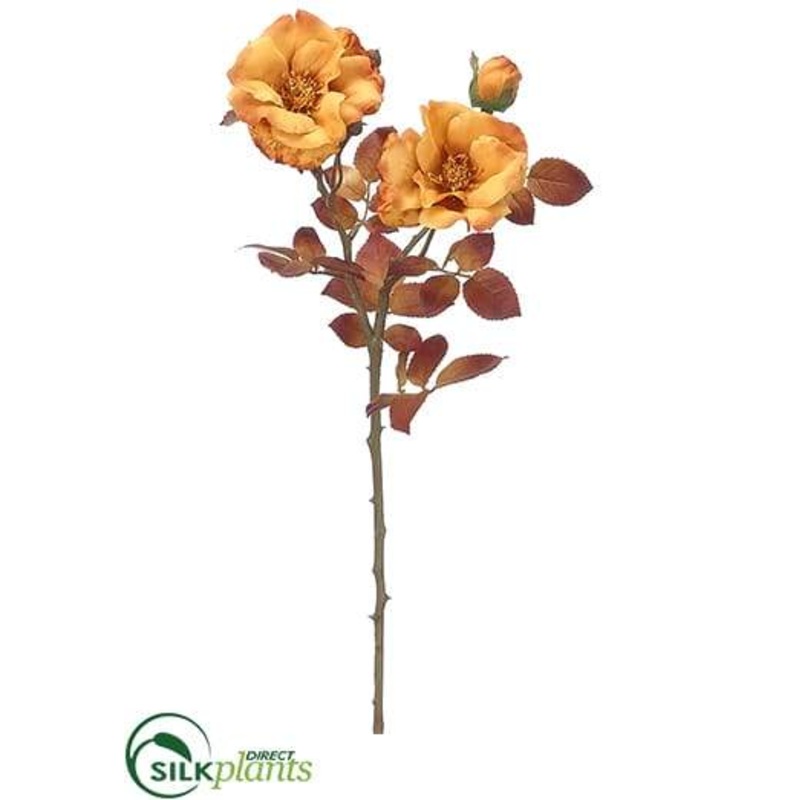 Wild Rose Spray – Mustard – Pack of 12