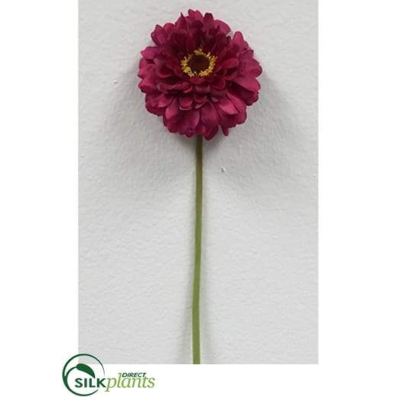 Zinnia Stem – Fuchsia – Pack of 12