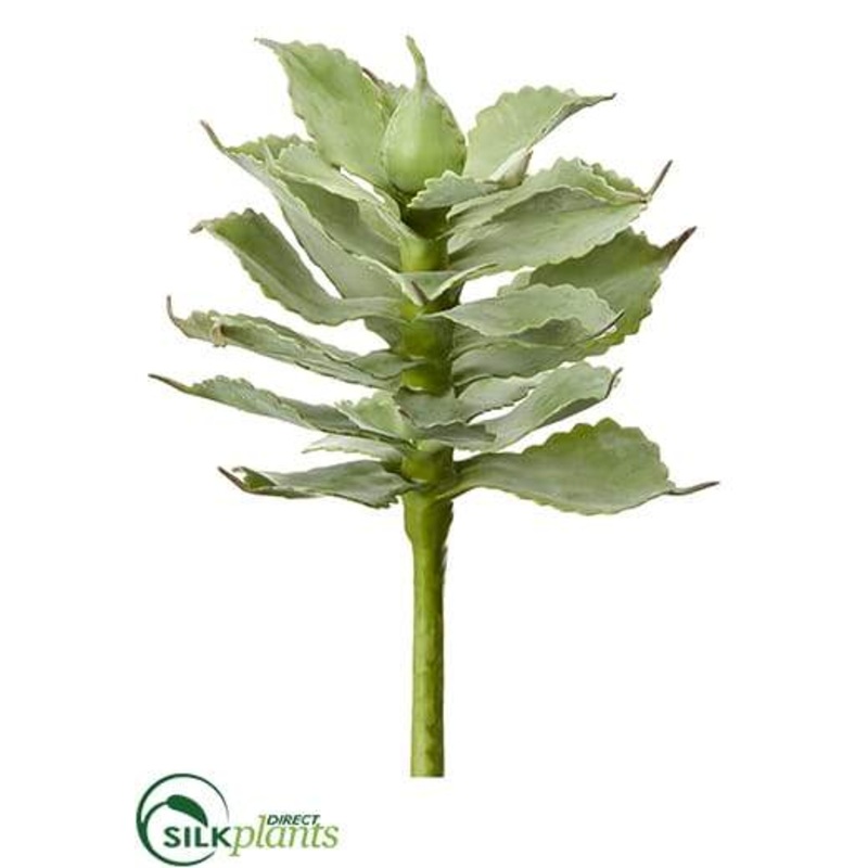 Agave Pick – Green Gray – Pack of 12