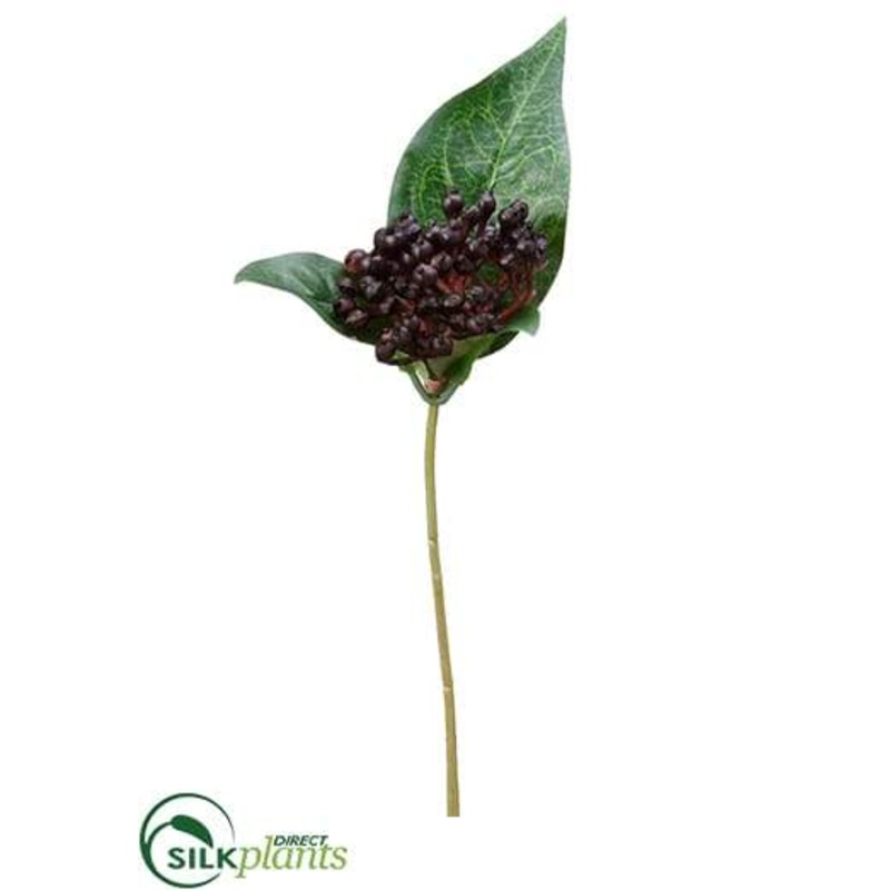 Viburnum Stem – Black – Pack of 24
