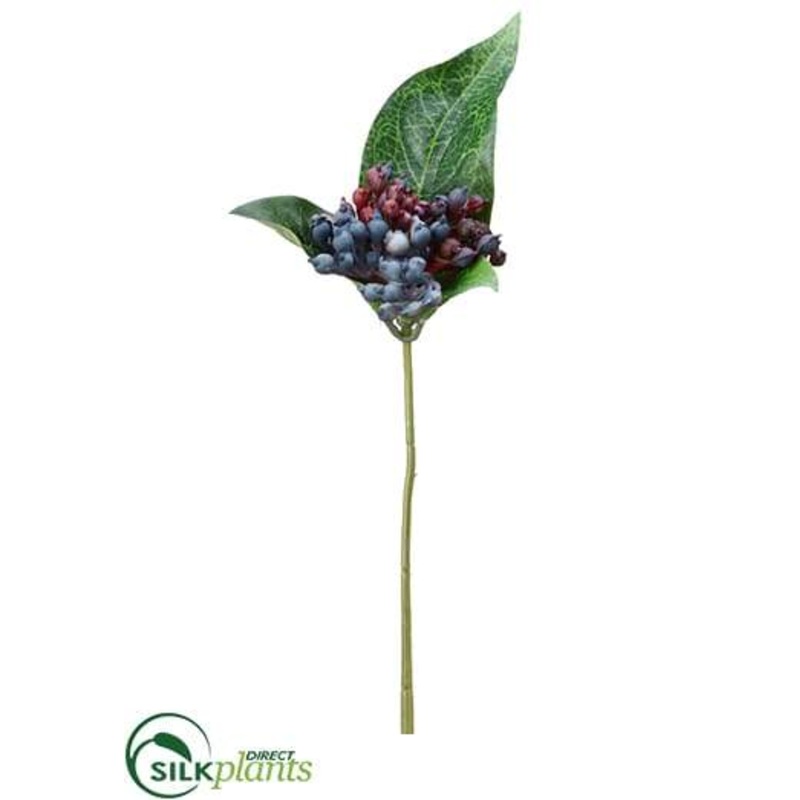 Viburnum Stem – Blue Black – Pack of 24
