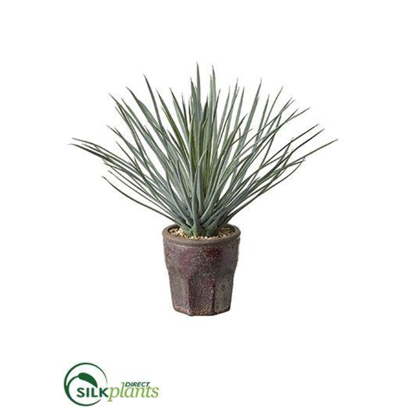 Yucca – Green Gray – Pack of 2