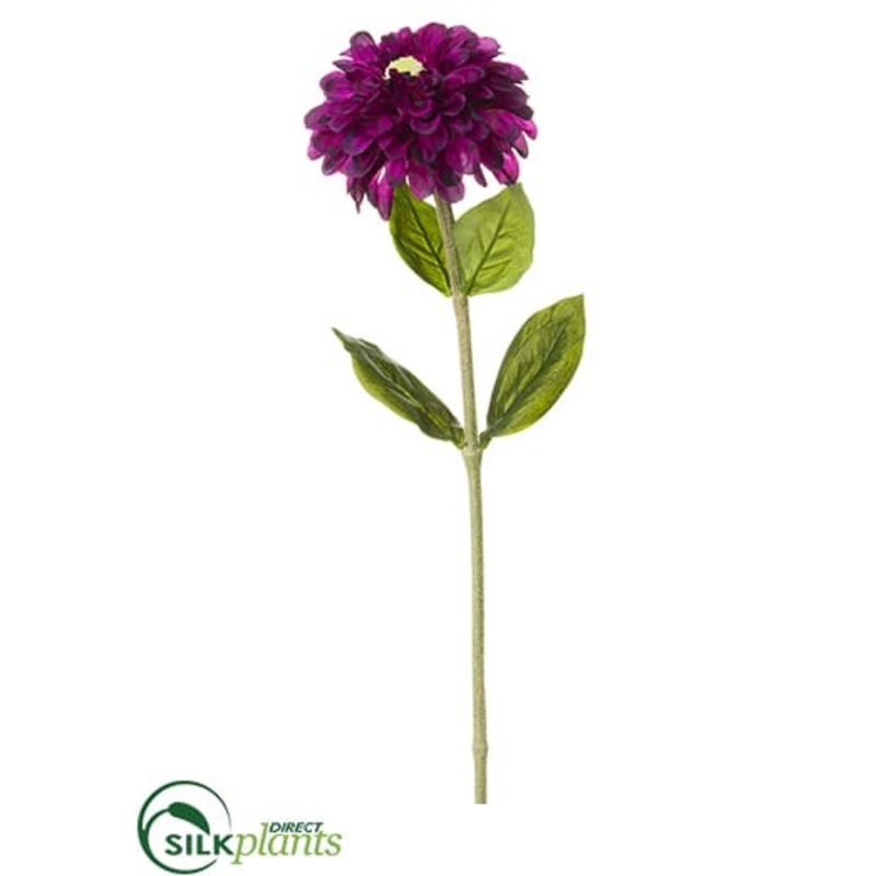 – Purple – Pack of 1