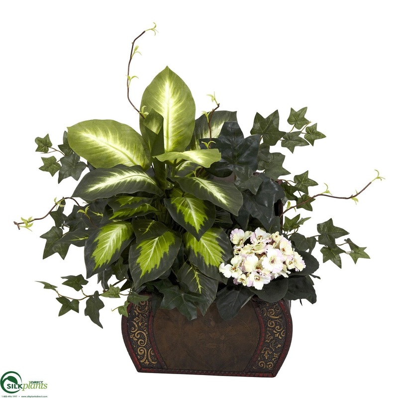 African Violet, Dieffenbachia & Ivy – Green – Pack of 1