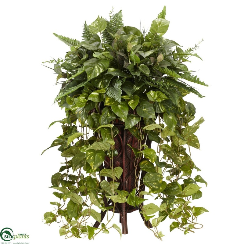Vining Mixed Greens – Green – Pack of 1