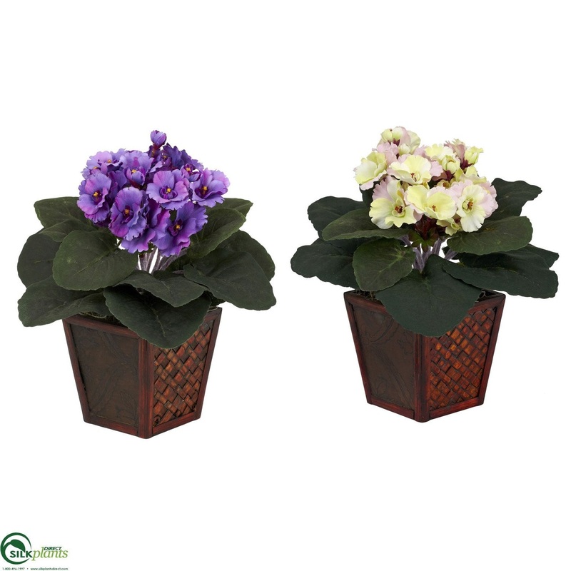 African Violet – Purple & Cream/Pink – Pack of 2