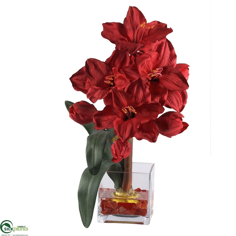 Amaryllis Liquid Illusion – Red – Pack of 1