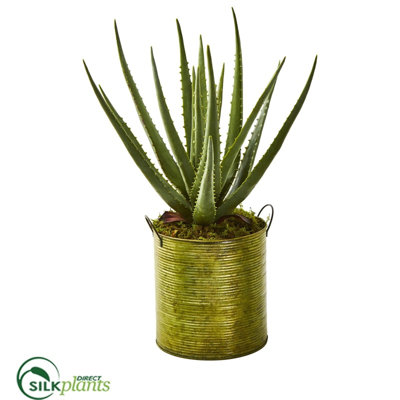 Aloe Artificial Plant – Pack of 1