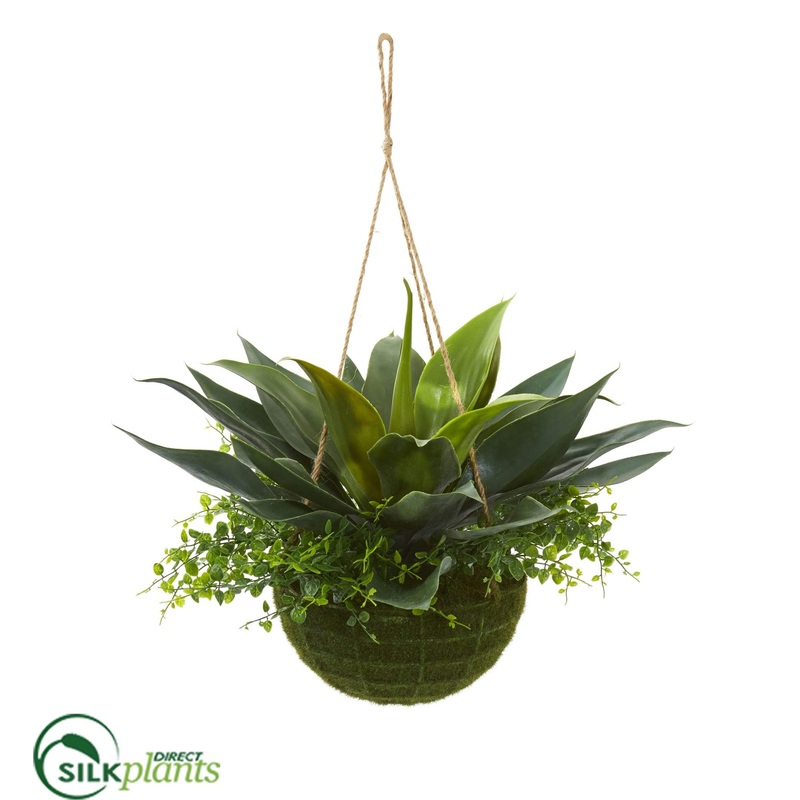 Agave and Maiden Hair Artificial Plant – Pack of 1