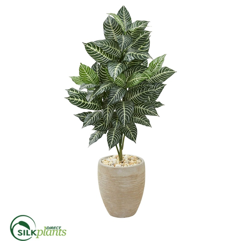 Zebra Artificial Plant – Pack of 1
