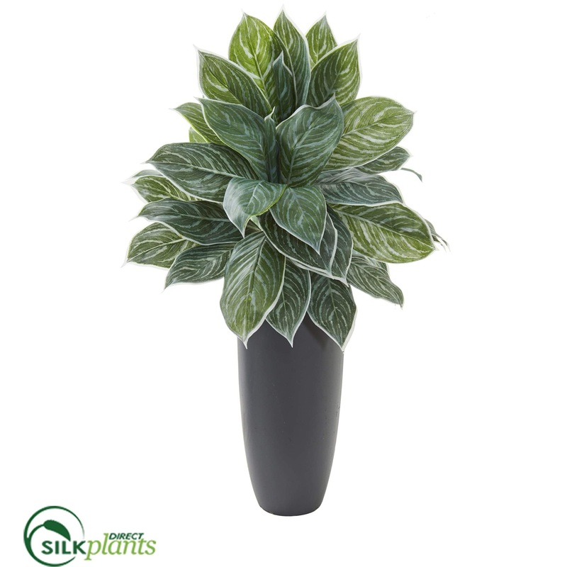 Aglonema Artificial Plant – Pack of 1