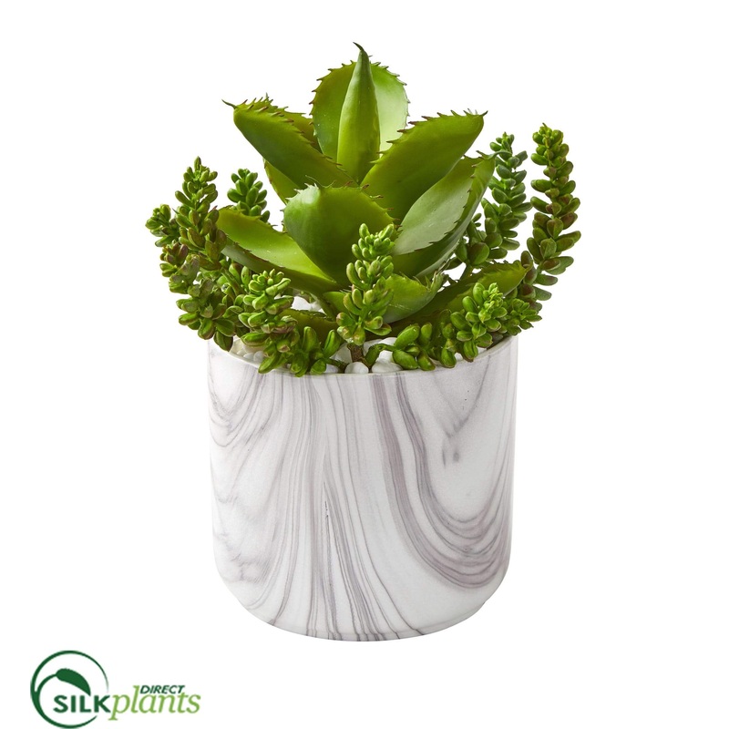 Aloe and Sedum Succulent Artificial Plant – Pack of 1