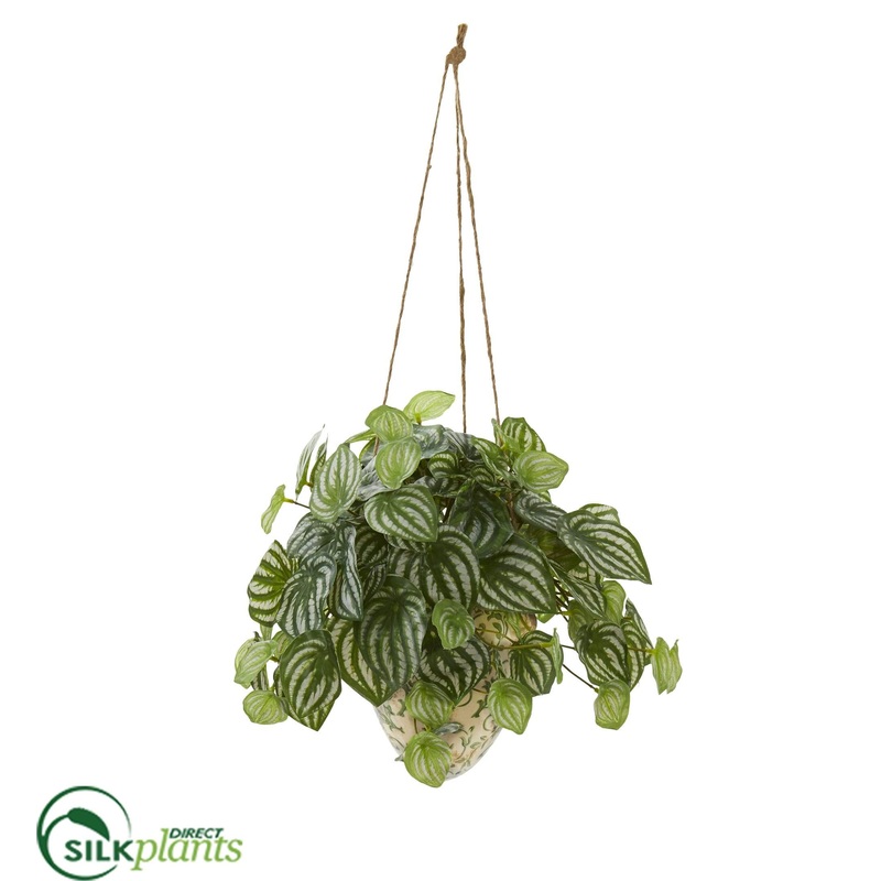 Watermelon Peperomia Artificial Plant – Pack of 1